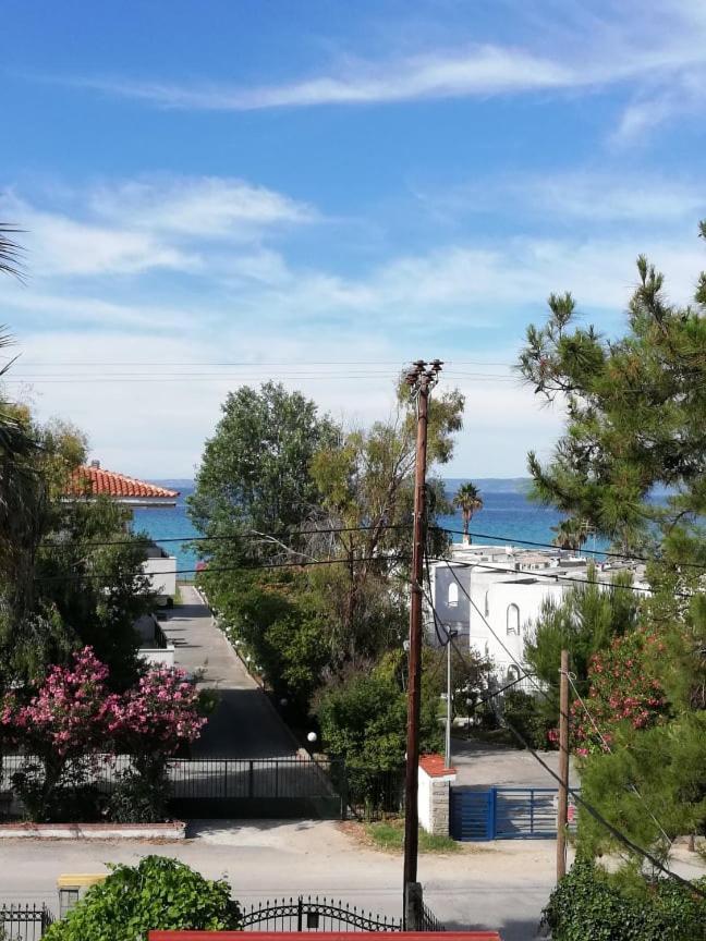 Villa Christina Sea Side A 卡尼奥提 外观 照片